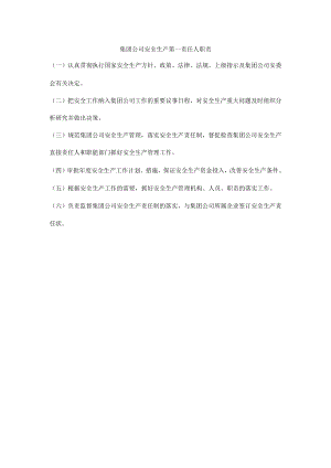 集团公司安全生产第一责任人职责.docx