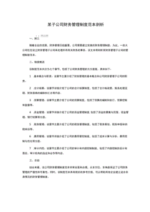 某子公司财务管理制度范本剖析.docx