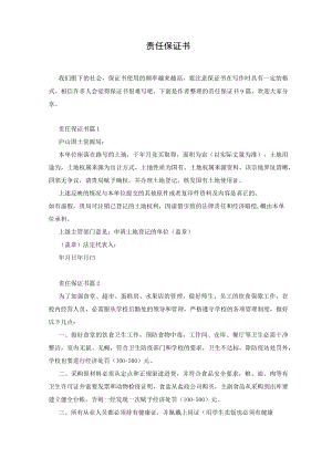 责任保证书.docx