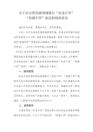 关于在自然资源领域推行“首违不罚”“轻微不罚”执法机制的意见.docx