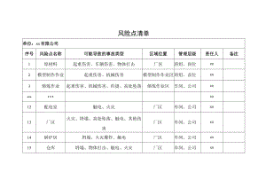 公司风险点清单.docx