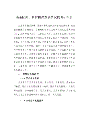 某某区关于乡村振兴发展情况的调研报告.docx