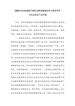 2023年纪检监察干部队伍教育整顿动学习教育环节工作总结及下一步打算.docx