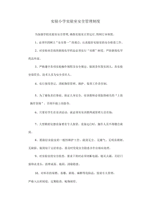 实验小学实验室安全管理制度.docx