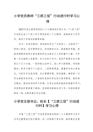小学党员教师“三抓三促”行动进行时学习心得精选范文(3篇).docx