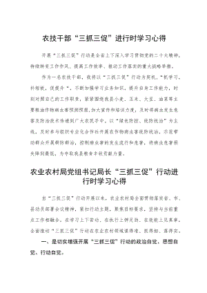 农技干部“三抓三促”进行时学习心得精选范文(3篇).docx