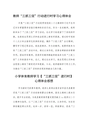 教师“三抓三促”行动进行时学习心得体会精选范文(3篇).docx