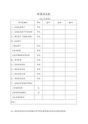 XX集团财务状况表.docx