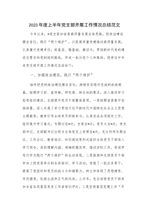 2023年度上半年党支部开展工作情况总结范文.docx