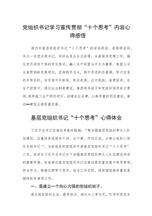 党组织书记学习宣传贯彻“十个思考”内容心得感悟最新版【三篇】.docx