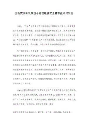 全面贯彻新发展理念稳住粮食安全基本盘研讨发言.docx