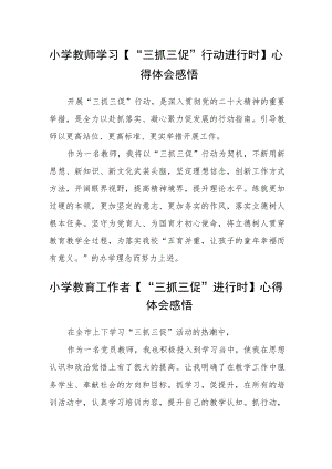 小学教师学习【“三抓三促”行动进行时】心得体会感悟精选范文(3篇).docx