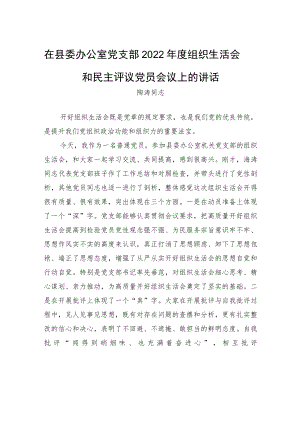 陶涛同志：在县委办公室党支部2022年度组织生活会和民主评议党员会议上的讲话（20230307）.docx
