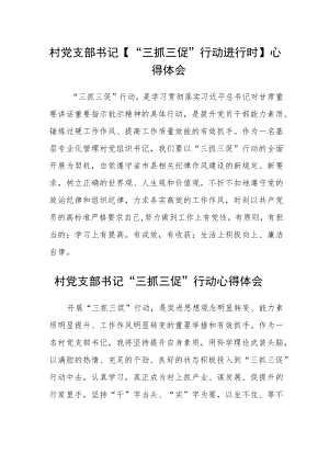 村党支部书记【“三抓三促”行动进行时】心得体会精选范文(三篇).docx