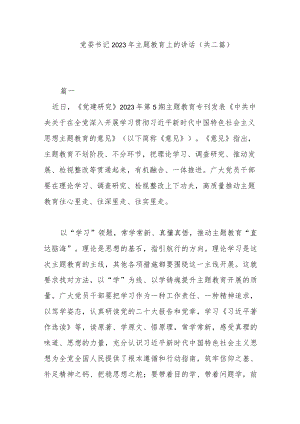 党委书记2023年主题教育上的讲话(共二篇).docx