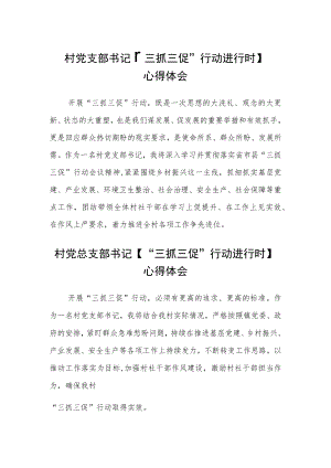 村党支部书记【“三抓三促”行动进行时】心得体会(精选3篇).docx