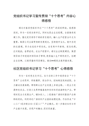 党组织书记学习宣传贯彻“十个思考”内容心得感悟(精选三篇).docx