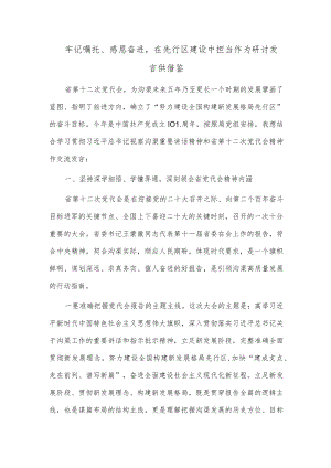 牢记嘱托、感恩奋进在先行区建设中担当作为研讨发言供借鉴.docx