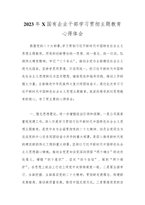 2023年X国有企业干部学习贯彻主题教育心得体会.docx