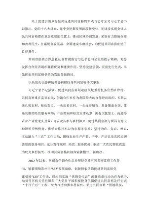 关于党建引领乡村振兴促进共同富裕的实践与思考全文.docx