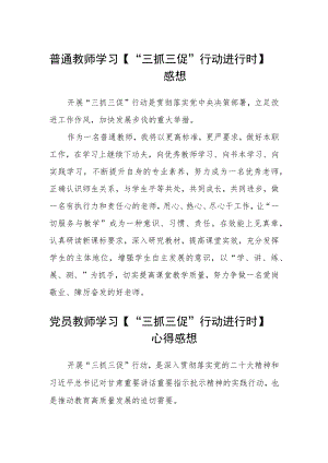普通教师学习【“三抓三促”行动进行时】感想范文集合三篇.docx