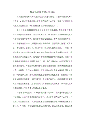 推动高质量发展心得体会二.docx