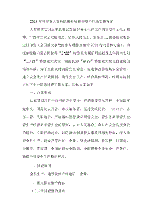 2023年城区开展重大事故隐患专项排查整治行动工作实施方案.docx