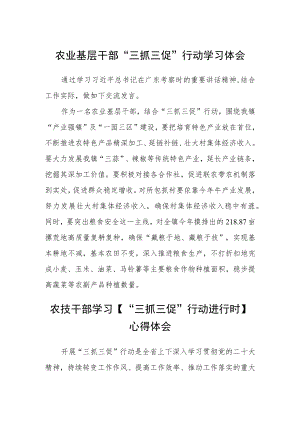 农业基层干部“三抓三促”行动学习体会精选范文(3篇).docx