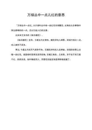 万绿丛中一点儿红的意思.docx