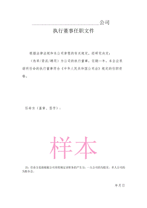 公司执行董事任职文件.docx