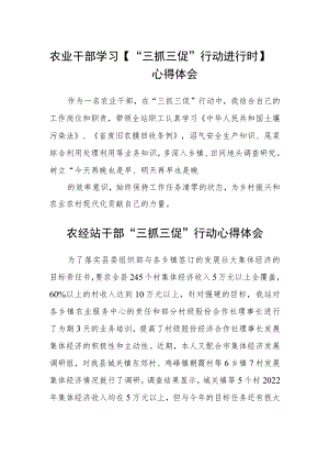 农业干部学习【“三抓三促”行动进行时】心得体会精选范文(3篇).docx