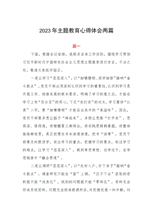 2023年主题教育心得体会两篇.docx