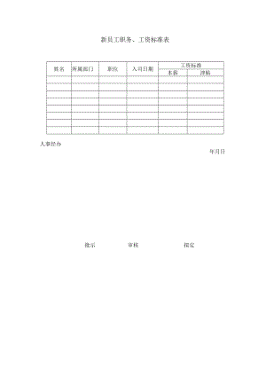 新员工职务、工资标准.docx