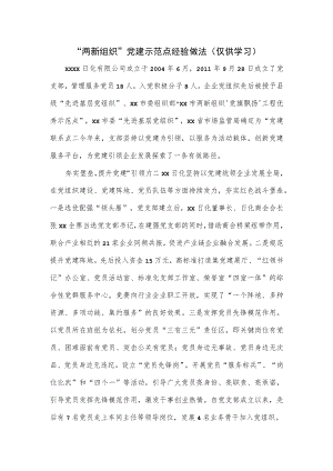 “两新组织”党建示范点经验做法.docx