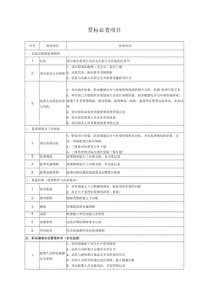贯标必查项模板.docx