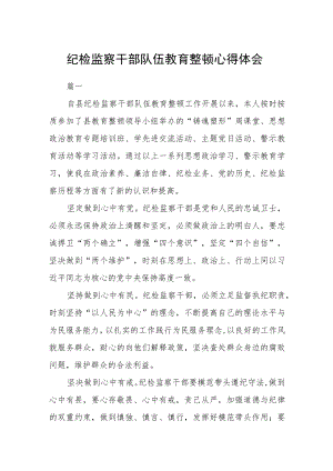 纪检监察干部队伍教育整顿心得体会二篇.docx