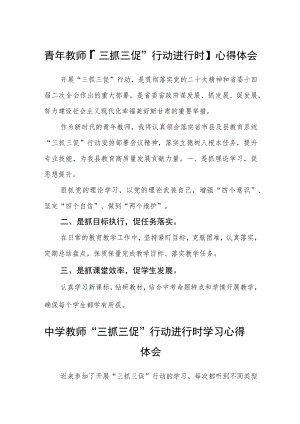 青年教师【“三抓三促”行动进行时】心得体会精选范文(3篇).docx