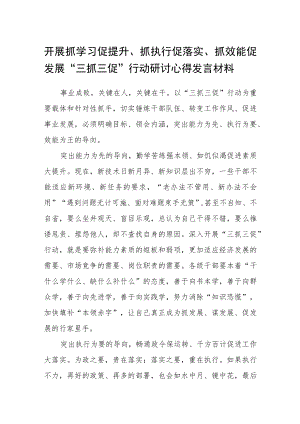 开展抓学习促提升、抓执行促落实、抓效能促发展“三抓三促”行动研讨心得发言材料(精选三篇).docx