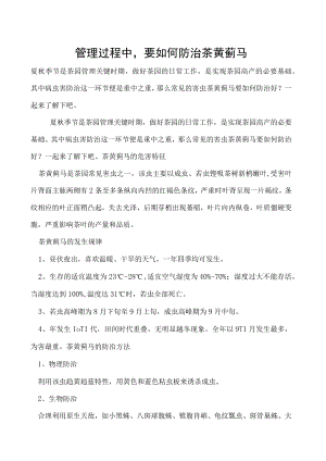 茶园管理过程中要如何防治茶黄蓟马.docx