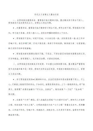 形式主义官僚主义整治内容.docx