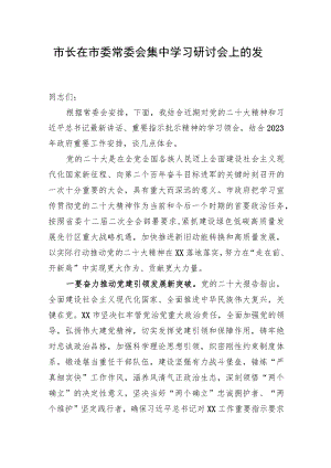 市长在市委常委会集中学习研讨会上的发言.docx
