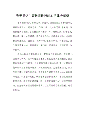 党委书记主题教育进行时心得体会感悟.docx
