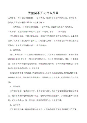 天竺葵不开花什么原因.docx