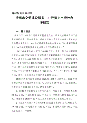 自评报告及自评表.docx