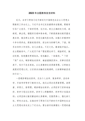 2023年主题教育发言材料.docx