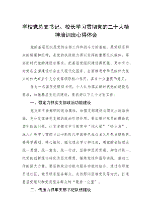 学校党总支书记、校长学习贯彻党的二十大精神培训班心得体会三篇.docx