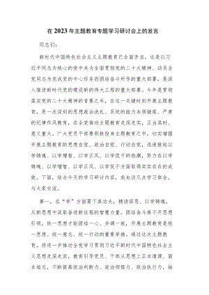 三篇：2023年主题教育专题学习研讨会上的发言材料范文.docx