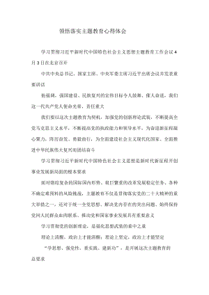 领悟落实主题教育心得体会.docx