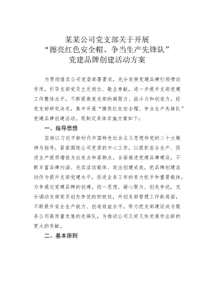 某某公司党支部关于开展“擦亮红色安全帽、争当生产先锋队”党建品牌创建活动方案.docx