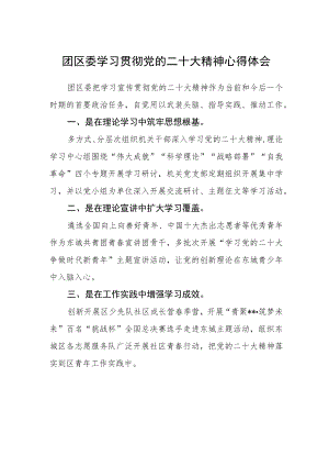 团区委学习贯彻党的二十大精神心得体会.docx